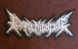 image of temple nightside logo patch
